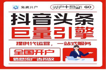 XX领域竞价广告的投放策略及效果展示